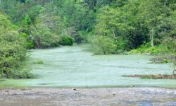 अरुण नदी आठ घण्टापछि बग्न थाल्यो