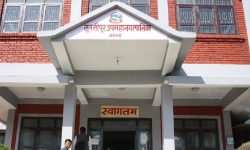 ‘उपमहानगरपालिकाको अनुभूति नै गर्न पाइएन’