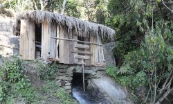 घट्टकै भरमा चल्दछ दैनिकी