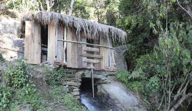 घट्टकै भरमा चल्दछ दैनिकी