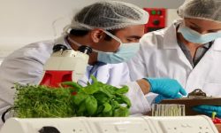 विषादी बिक्रेतालाई तालिमसँगै परीक्षा