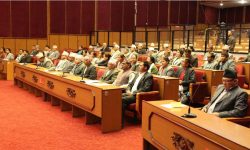 अर्थतन्त्र सुधार्नेबारे जरुरी सार्वजनिक महत्वको प्रस्ताव पेस