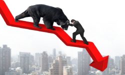 नेप्सेमा १३ अंकले गिरावट