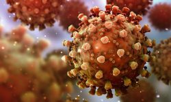 वैशाखमा कोरोना : १ हजार ३८१ सङ्क्रमित, ६ जनाको मृत्यु