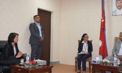 कार्यवाहक राष्ट्रपतिसँग युरोपेली सङ्घका राजदूतको भेट