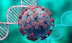 कोरोना सङ्क्रमित बढेपछि तयारी अवस्थामा रहन अस्पताललाई निर्देशन