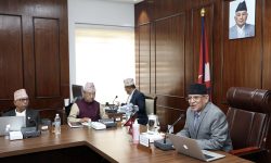 प्रधानमन्त्रीसँग राष्ट्रसङ्घीय प्रतिनिधिमण्डलको भेट