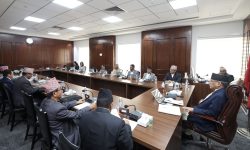 मिटरब्याज पीडितका समस्याबारे छानबिन गर्न समिति गठन