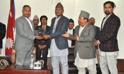 उपराष्ट्रपति भेटेर चलचित्र सङ्घले के भन्याे ?