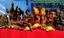 कृषि, पर्यटन तथा औद्योगिक मेलामा राखिएका सामग्री