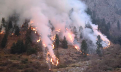 डढेलो फैलिन थालेपछि बस्ती जोखिममा