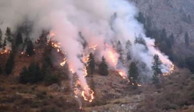 डढेलो फैलिन थालेपछि बस्ती जोखिममा