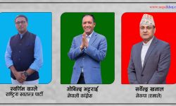 तनहुँ १ : स्वर्णीमले कटाए १५ हजार मत