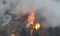 डढेलो र आगलागीको जोखिम, यस्तो छ विज्ञको सुझाव
