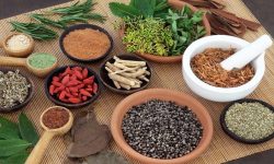 आयुर्वेद स्वास्थ्योपचारतर्फ आकर्षण बढ्दै