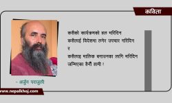 कसैको झोला बोकिदिन