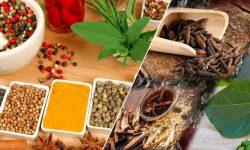 आयुर्वेदको विकासका लागि अध्ययन संस्थान आवश्यक छ : प्रा डा चन्द्रराज सापकोटा