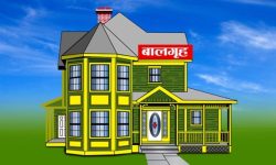 मापदण्ड नपुगेका दुई बालगृह बन्द