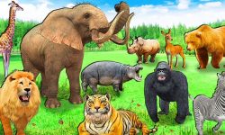 सङ्कटमा परेका वन्यजन्तुको उद्धार