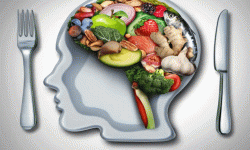 आहार नियन्त्रण र परिवर्तनले मस्तिष्कको कार्यक्षमतामा प्रभाव पार्छ : अध्ययन