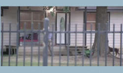 अमेरिकामा गोली चल्दा ५ जनाको मृत्यु