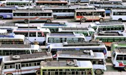 पर्यटक बसपार्क नहुँदा समस्या