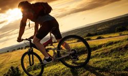 पर्यटन प्रवर्द्धन गर्न आधारभूत माउन्टेन बाइक तालिम