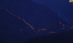 गुल्मीमा दुई हजार हेक्टर वनमा डढेलो