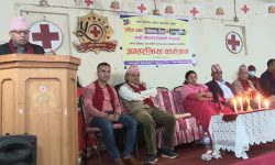 सत्तासीनहरूले लोकतन्त्र दिवसप्रति देखाएको उदासीनताको निन्दा