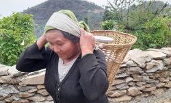 ‘सोलार प्यानल’मा समस्या आएपछि दगाममा खानेपानी अभाव