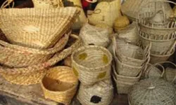 डोटीमा बाँस र निगालोबाट सामग्री बनाउन तालिम