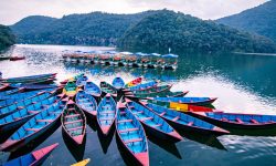 आज देखि फेवा महोत्सव