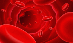 शरीरमा होमोग्लोबिनको कम हुँदा के हुन्छ ?