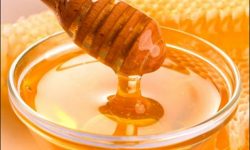 कास्कीको अन्नपूर्णमा ‘हनि हन्टिङ’ महोत्सव