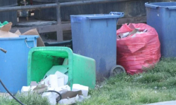 बालेनको निर्देशनपछि उठेन सिंहदरबारको फोहोर