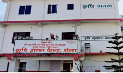 रोल्पाका कृषक आन्दोलित