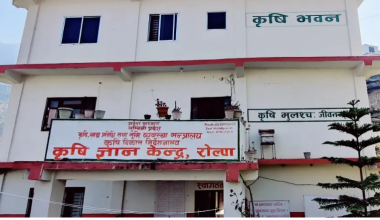 रोल्पाका कृषक आन्दोलित