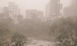 झापामा हावाहुरीसहितको असिनाले क्षति