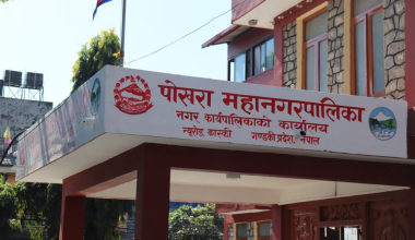 प्रअले विद्यालय सुधार योजना महानगरमा बुझाउनुपर्ने