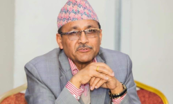 एमालेबाट बारा २ मा पुरुषोत्तम पौडेल उम्मेद्वार