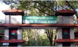 वनस्पति उद्यान तथा अनुसन्धानमा पर्यटकिय आकर्षण