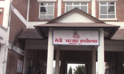 अदुवा, अलैँची र प्लाइउडको निर्यात बढ्यो