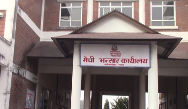 अदुवा, अलैँची र प्लाइउडको निर्यात बढ्यो