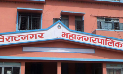 विराटनगर महानगरले खुल्ला रूपमा माछा–मासु बिक्री वितरणमा रोक लगाउने