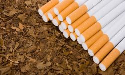 सुर्तीजन्य पदार्थको अनुगमनमा छ वटा टोली परिचालन