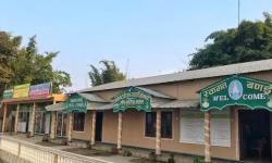 अमलटारी घरबास : अध्ययन र अवलोकनको गन्तव्य