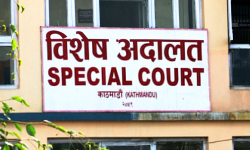 विशेष अदालतमा आरोपपत्र दायर