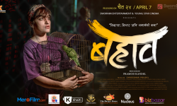 मोफसलमा बढ्दै चलचित्र गतिविधि