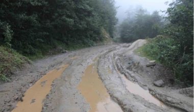 सेखुवा–चखेवाभञ्ज्याङ सडकखण्ड कालोपत्र सम्पन्न गराउन माग