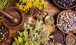 जडीबुटी निकासी घट्यो